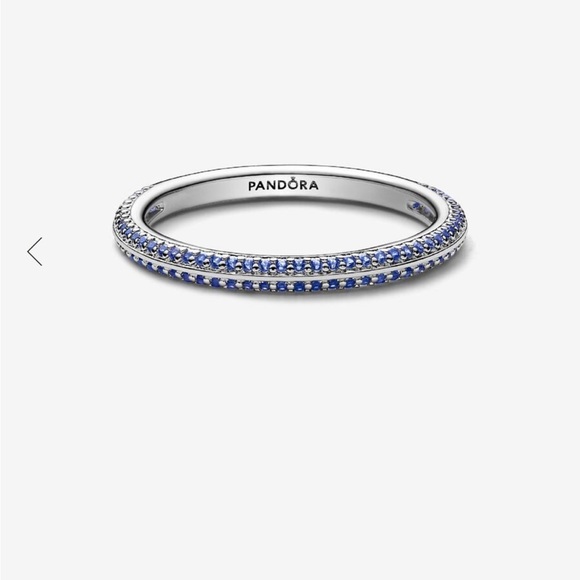 Pandora Silver Band with Blue Accents - Picture 1 of 8